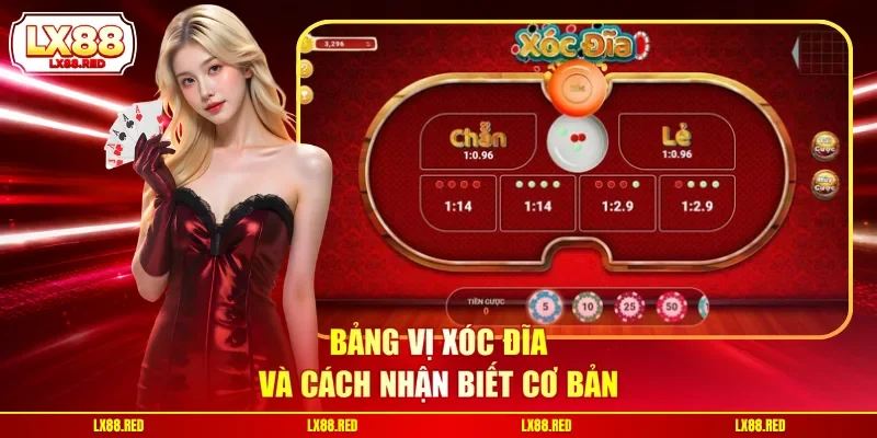 Bảng vị xóc đĩa và cách nhận biết cơ bản