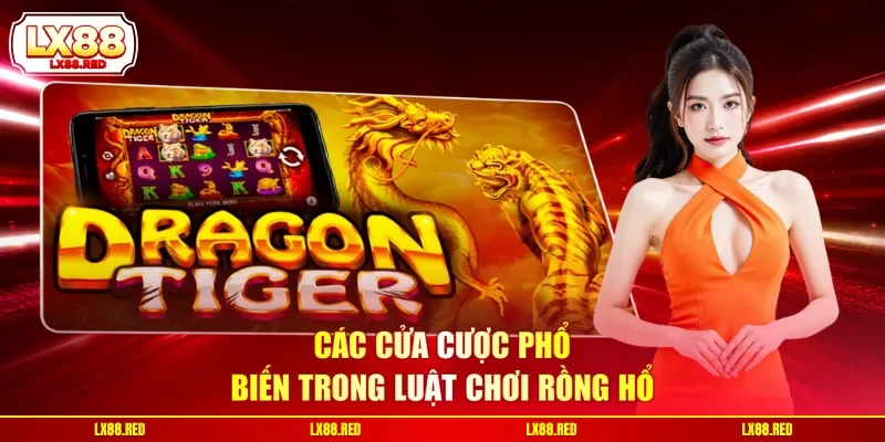 Các cửa cược phổ biến trong luật chơi Rồng Hổ