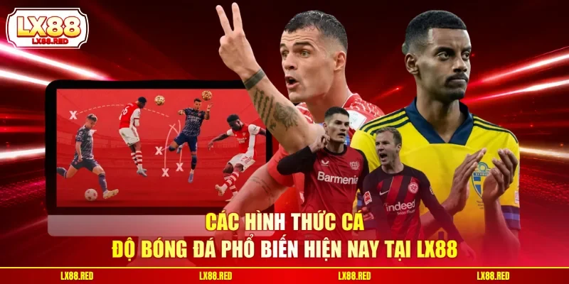 Các hình thức cá độ bóng đá phổ biến hiện nay tại LX88