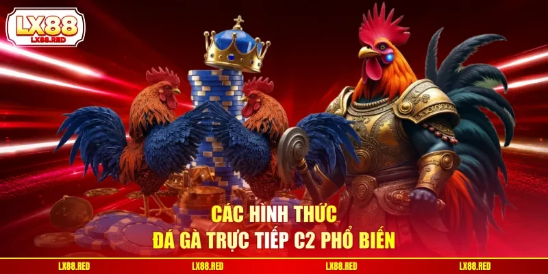 Các hình thức đá gà trực tiếp C2 phổ biến