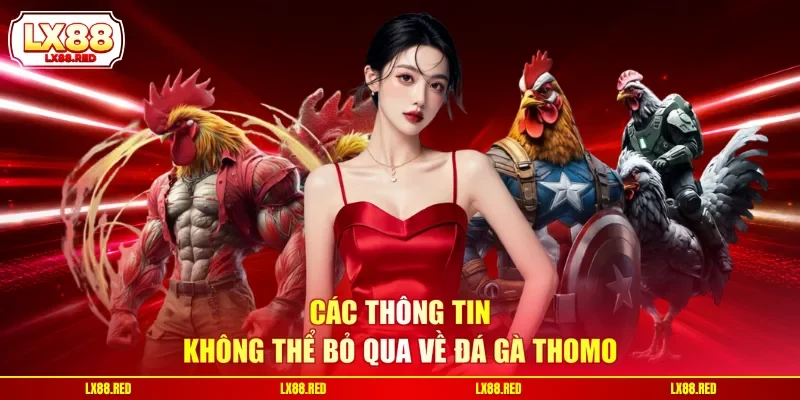 Các thông tin không thể bỏ qua về đá gà Thomo