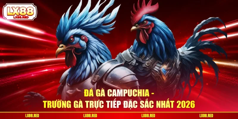 Đá Gà Campuchia | Trường Gà Trực Tiếp Đặc Sắc Nhất 2026