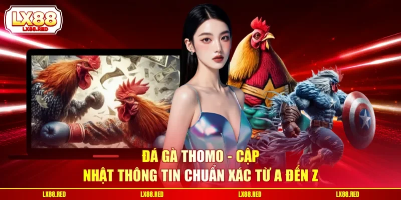 Đá Gà Thomo - Cập Nhật Thông Tin Chuẩn Xác Từ A Đến Z