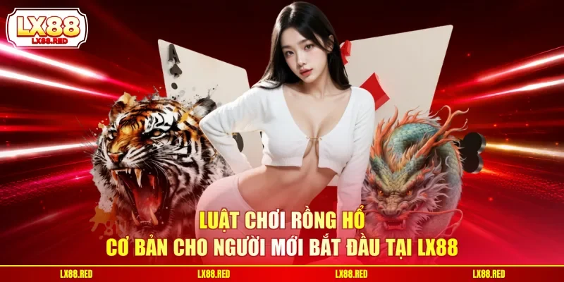 Luật chơi Rồng Hổ cơ bản cho người mới bắt đầu tại LX88
