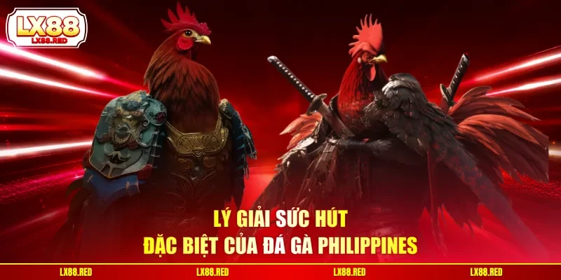 Lý giải sức hút đặc biệt của đá gà Philippines