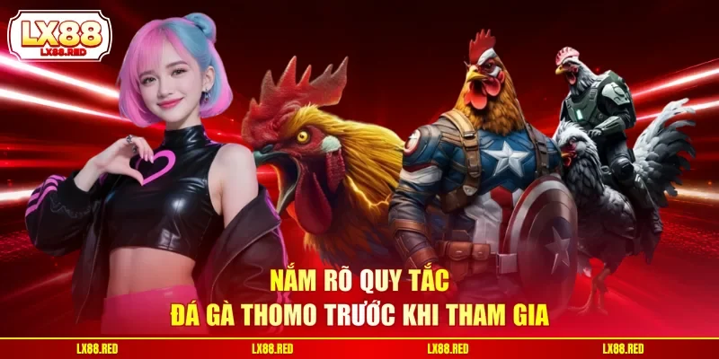 Nắm rõ quy tắc đá gà Thomo trước khi tham gia