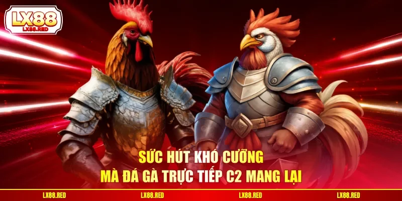 Sức hút khó cưỡng mà đá gà trực tiếp C2 mang lại